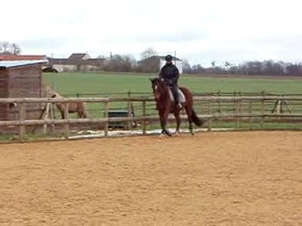 P2250255 - détente trot