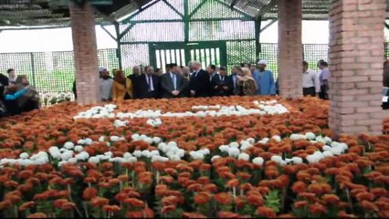 محافظ القليوبية  ووزير الرى فى معرض الزهور بالقناطر