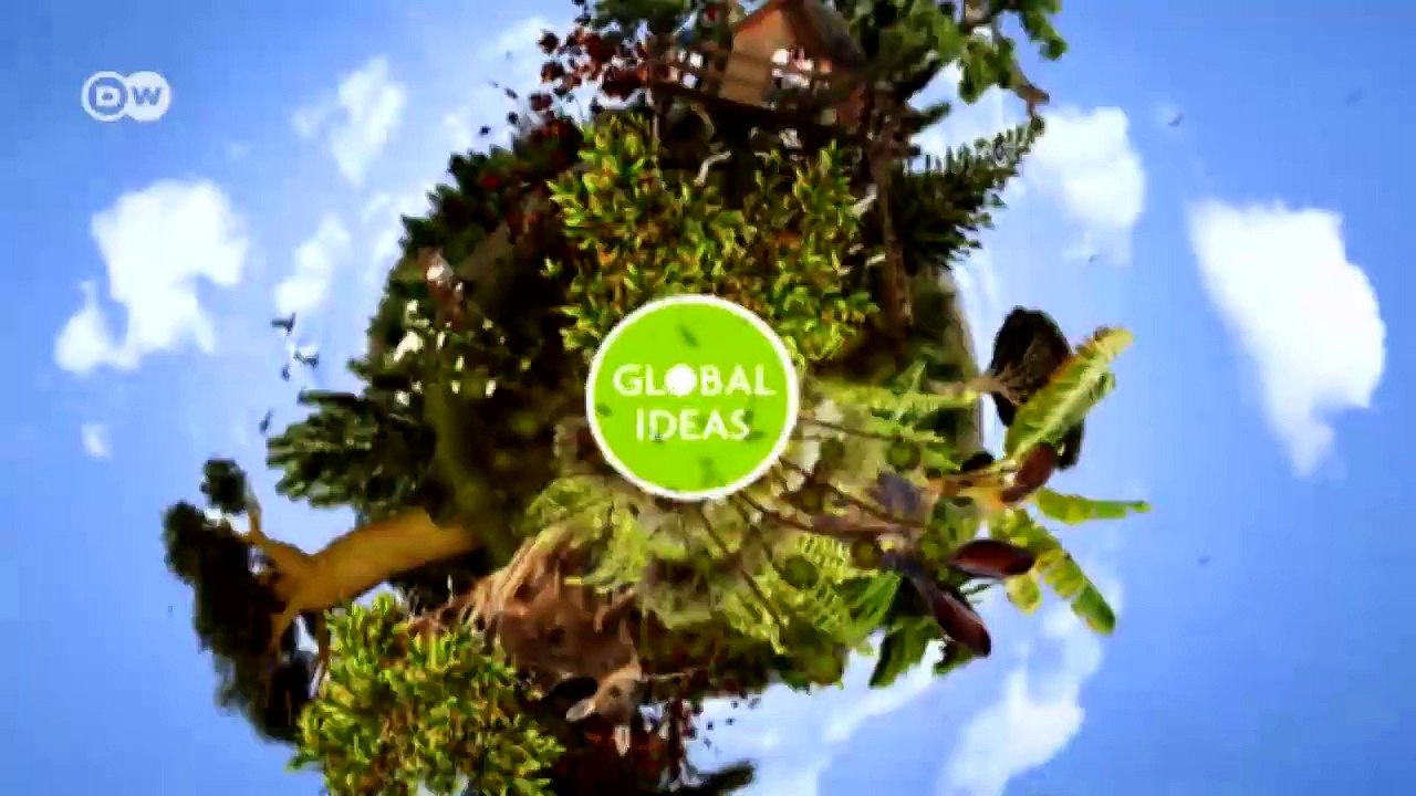 Ein bisschen Wald im Pazifik | Global Ideas