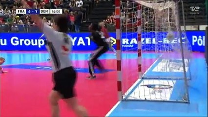 Dinamarca-Francia 30.11.14 1parte