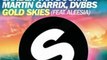 gold skies sander van doorn martin garrix dvbbs aleesia( dj faboun re-work )