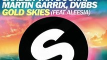 gold skies sander van doorn martin garrix dvbbs aleesia( dj faboun re-work )