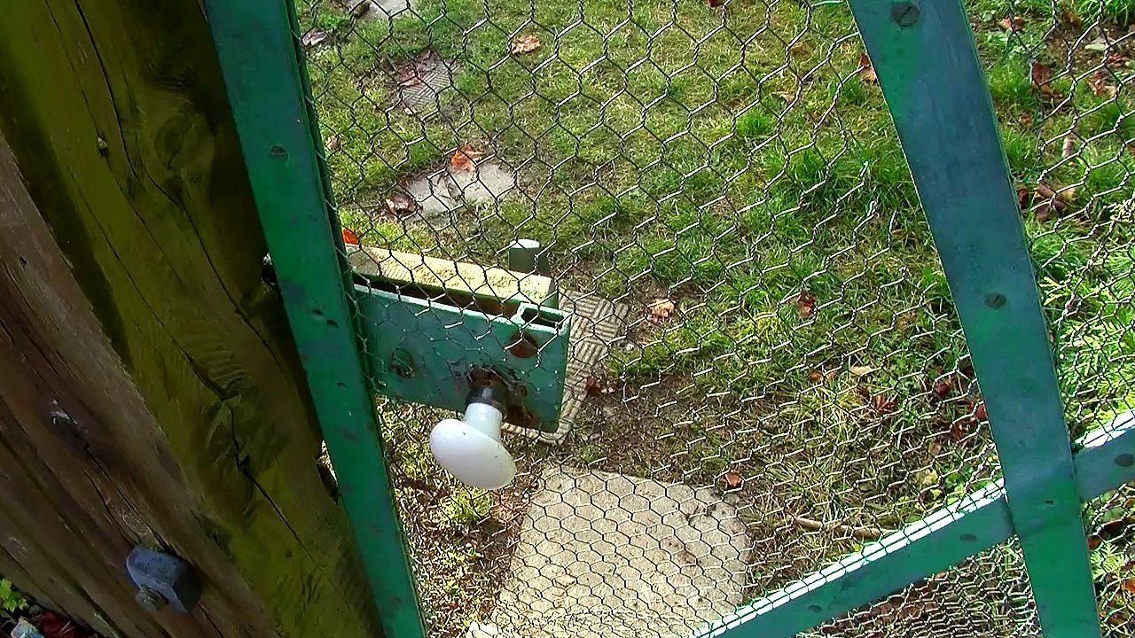 D!CI TV: une maman accouche seule chez elle à Gap avant l'arrivée des pompiers