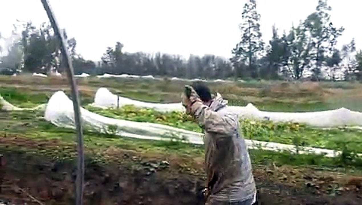 serre build nov 2014 sunday