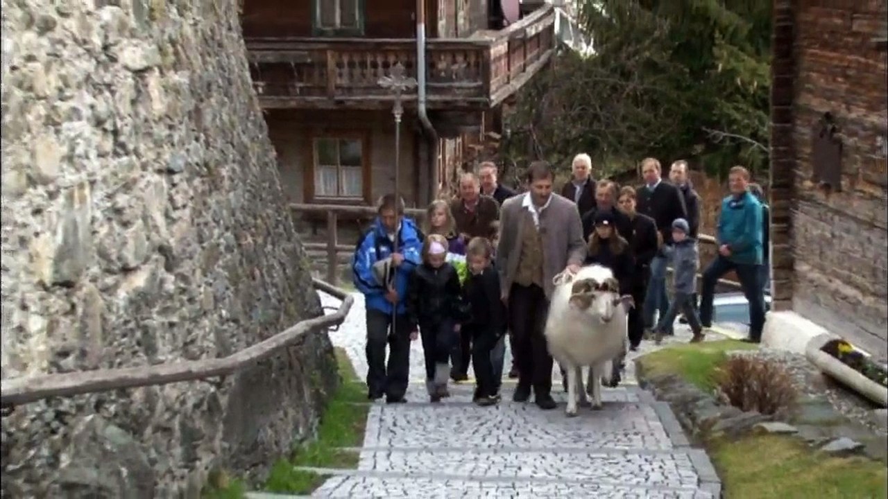 Der weisse Widder vom Virgental