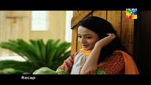 Susraal Mera Episode 44 By Hum Tv 1st December 2014 Full Episode