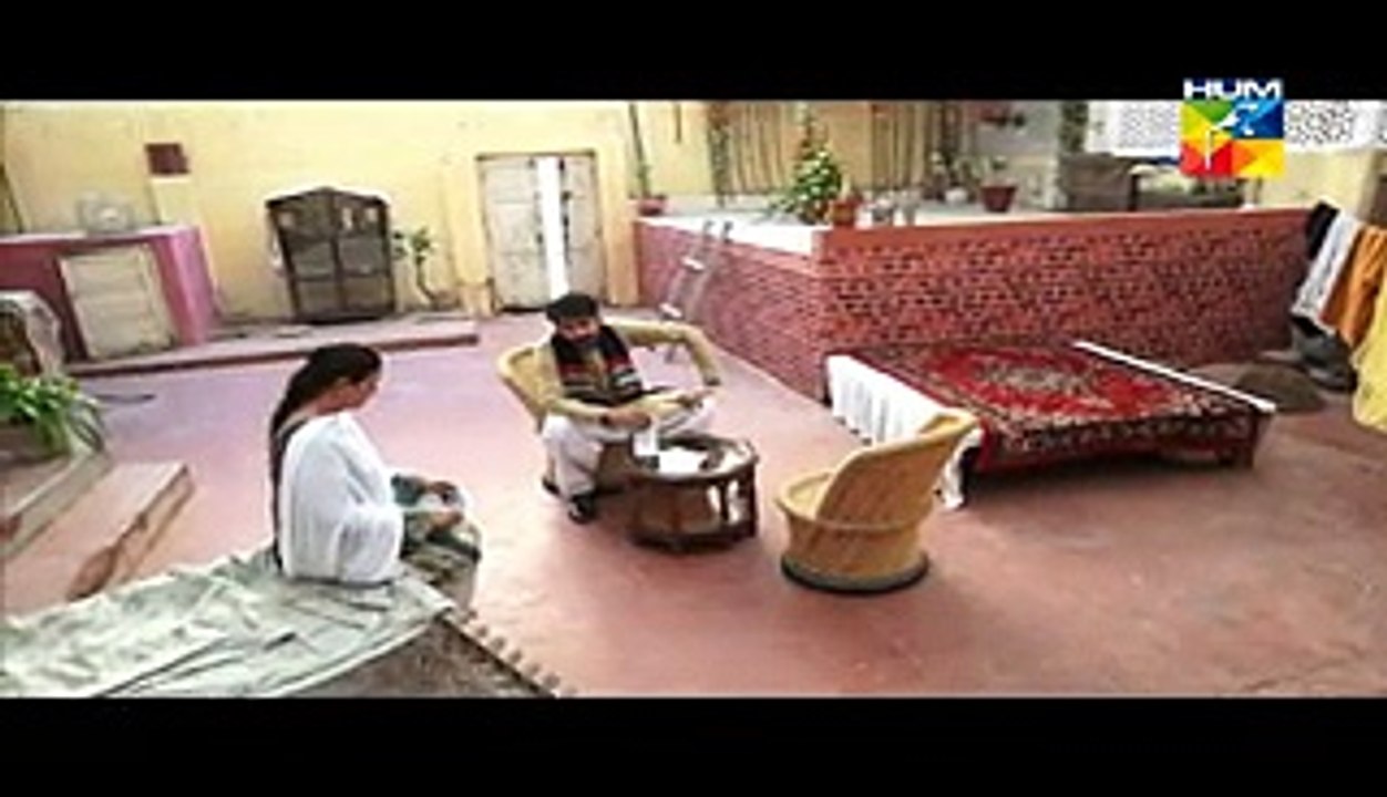 Aik Pal Episode 2 Full Episode on Hum tv 1 December 2014