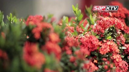 Ngay Moi Ngot Ngao - Miu Le ft Hoang Phi