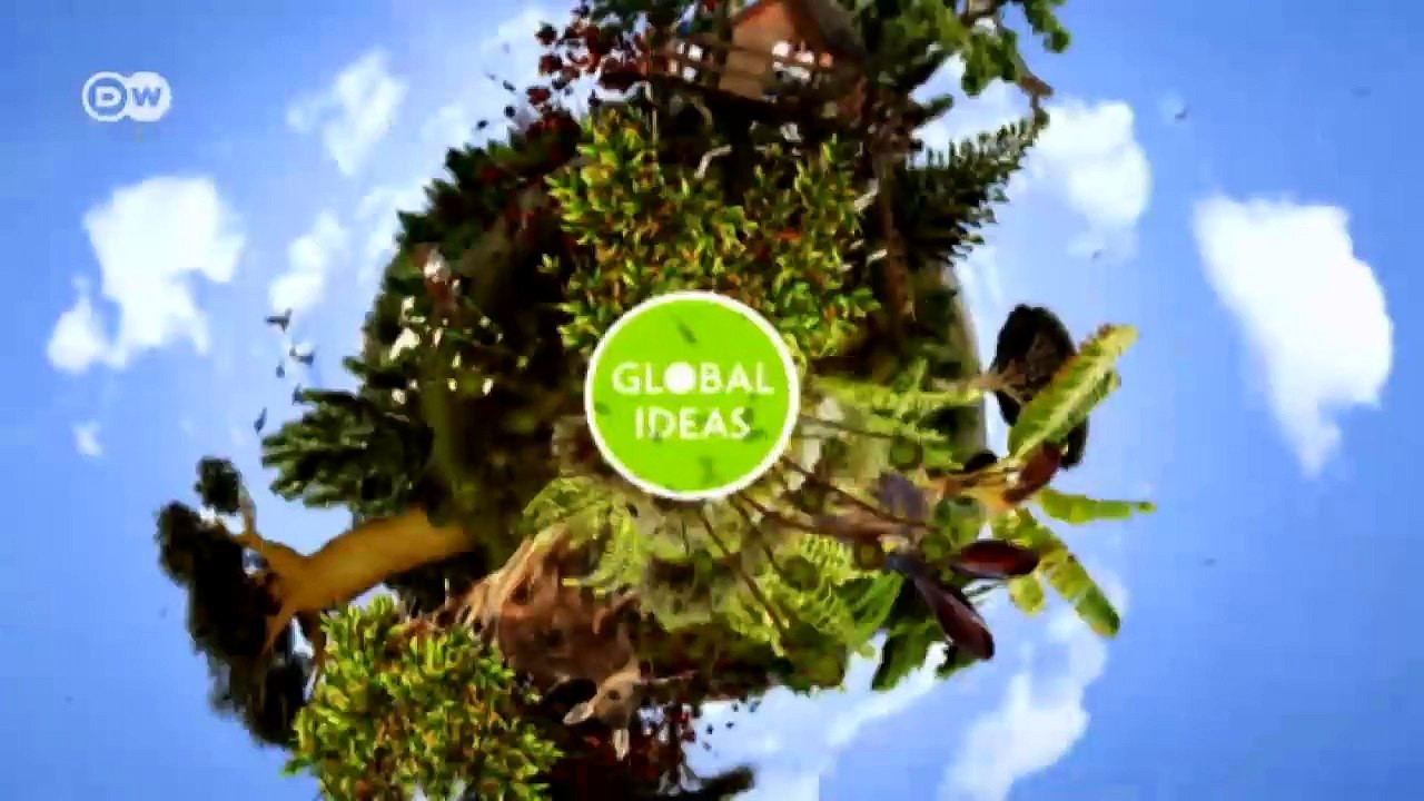 Fidschi: herausforderung waldschutz | global 3000