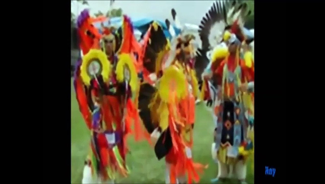 CHEYENNE - Bufalo blanco