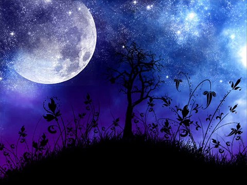 You're Beautiful Tonight,My Dear-Freddy Martin Orchestra