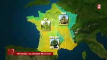 Le réchauffement climatique transforme les paysages français