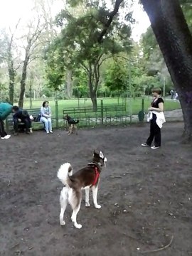 curatenieblocuri.freewb.ro-0724/682/275/