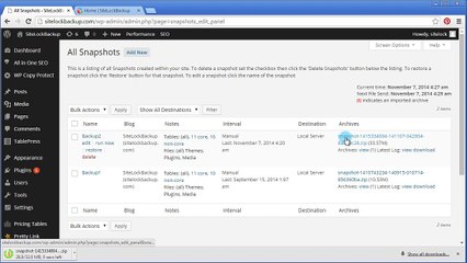 Wordpress Backup Plugin - HD Video Demo 10