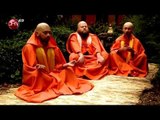 Los budistas - Me acordé de la canción