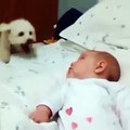 Cute puppy playing with baby, so cute!