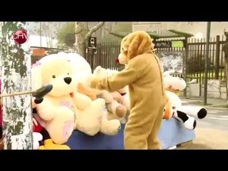 Los peluches ordinarios del vendedor callejero