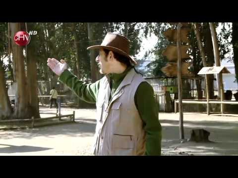 Los irrespetuosos: Ella, la poto colorá