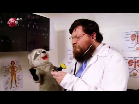 El Dostor Conflicto mapache