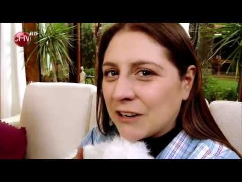 Ale y Cota Yo te cepillo la gatita