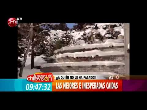 Mira los más tiernos chascarros que se han tomado la Web - MATINAL DE CHV 17/07