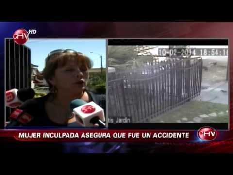 Revelan video que demostraría un cruel atropello a un cachorro - CHV Noticias