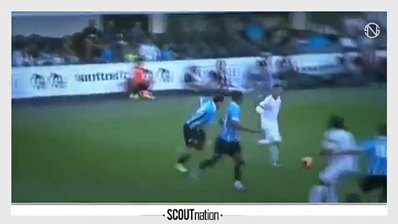 NEILTON | Goals, Skills, Assists | Santos | 2013 (HD)