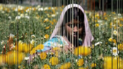 Chhoti Si Umar Parnai O Babsa by Nusrat Collection