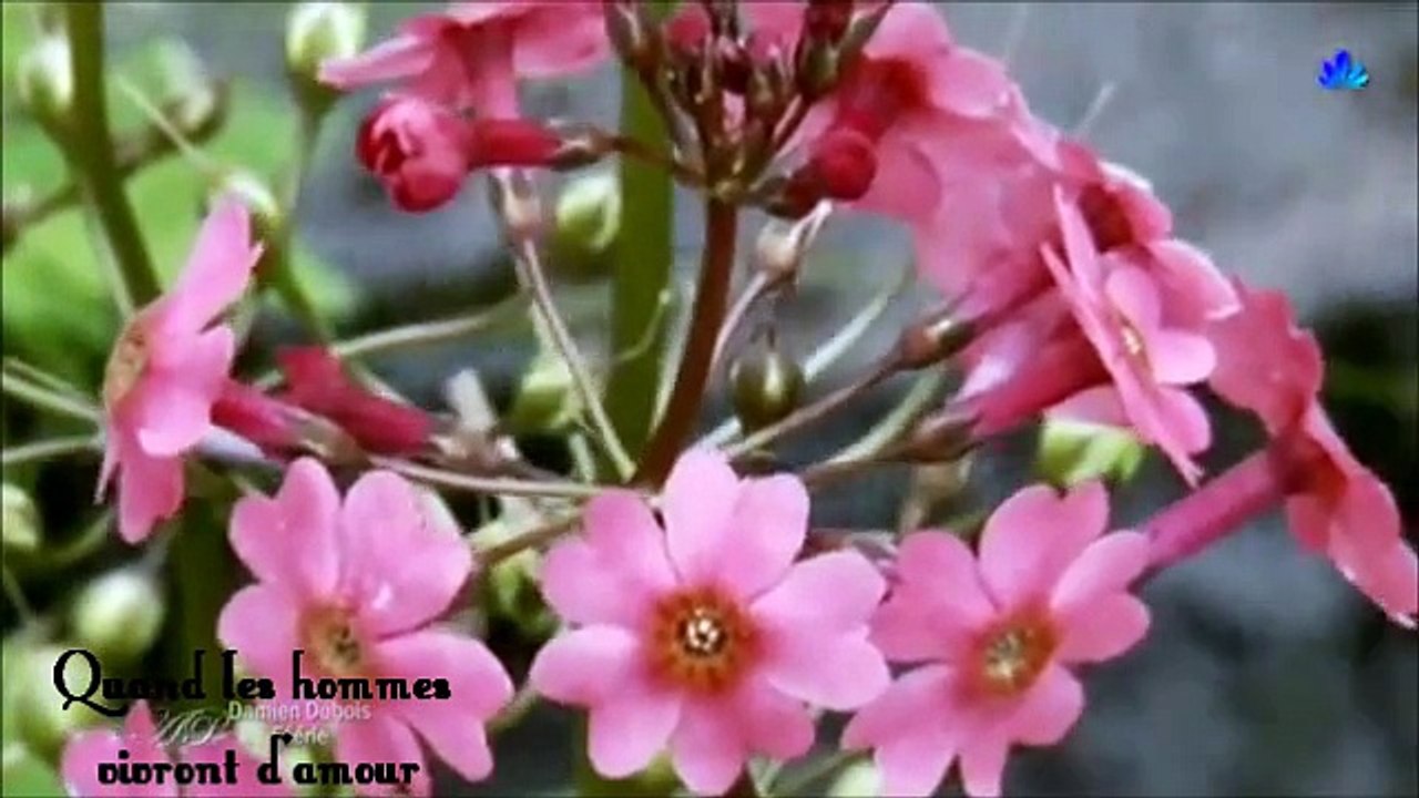 Quand les hommes vivront d'amour