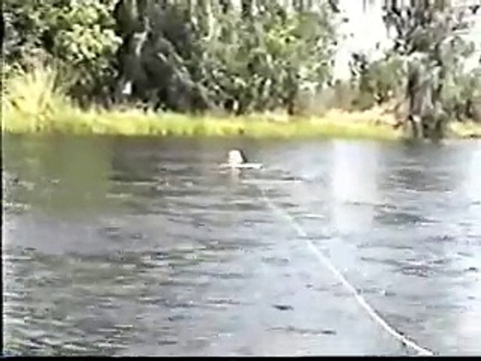Barefootin2