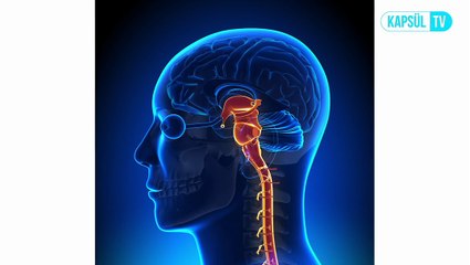 Nöroloji İle Nöroşirurji Arasındaki Fark Nedir?