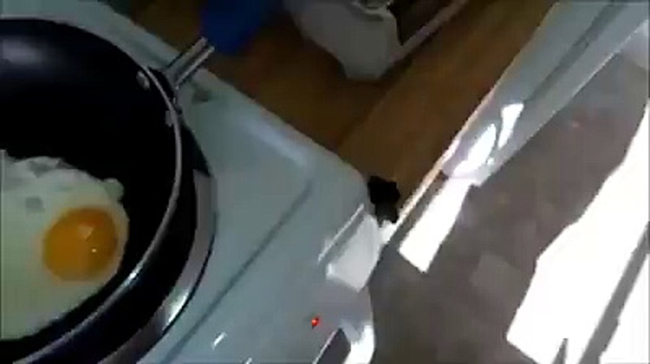 Rap Yapan Sahanda Yumurta