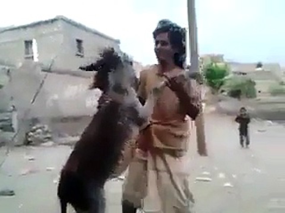 ‫Sheen Baddar ‬