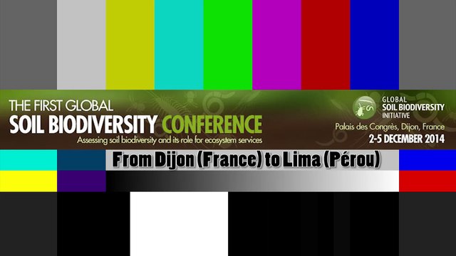 The first global Soil Biodiversity Conference (Live from Dijon, France)