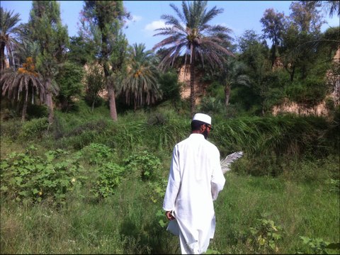 Mohra Burj Tehsil Gujjar Khan Pakistan