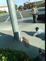CHOC Un homme innocent, mis en joue par un policier, refuse de s'allonger par terre
