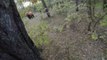 This GoPro ‘Bear Attack’ is crazy! Man is trying to run away from attacking Bear