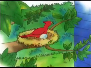 Kayu Temizlik Yapıyor - kayu izle