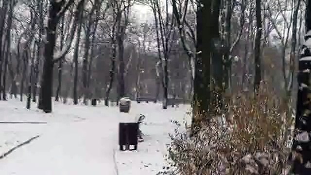 IARNA LUI 2014-2015 A SOSIT SI LA IAȘI