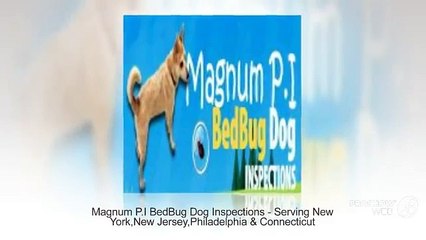 Magnum P.I BedBug Dog Inspections – Serving New York, New Jersey, Philadelphia and Connecticut.