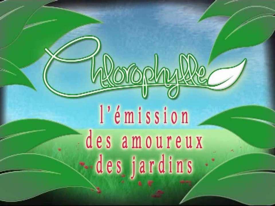 Chlorophylle épisode 113 sur Télé Doller