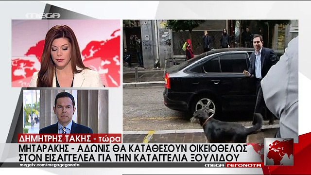 ΑΔΩΝΙΣ ΚΑΙ ΜΗΤΑΡΑΚΗΣ ΚΑΤΑΘΕΤΟΥΝ ΜΗΝΥΣΗ ΣΤΟΝ ΚΑΜΜΕΝΟ