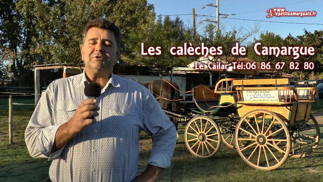 Les calèches de Camargue