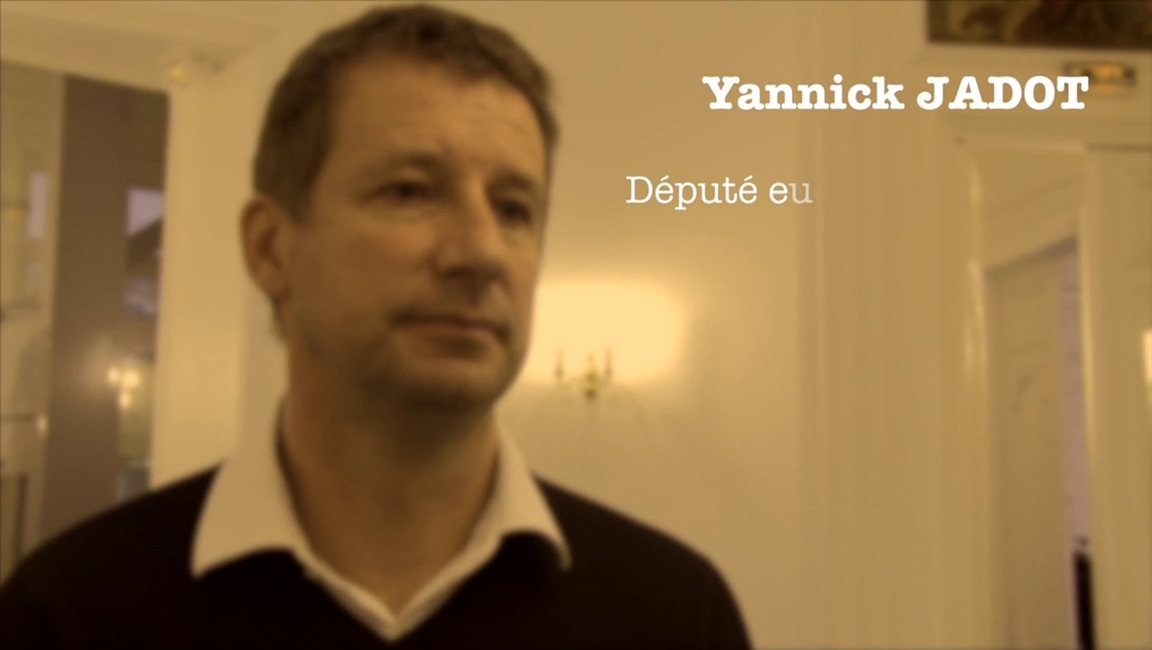 Climat : pour Yannick Jadot, "l'inaction est un crime contre l'humanité"