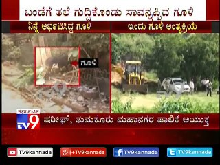 3:41 Bull Which Went Psyched on Tumkur Streets 'Dies'