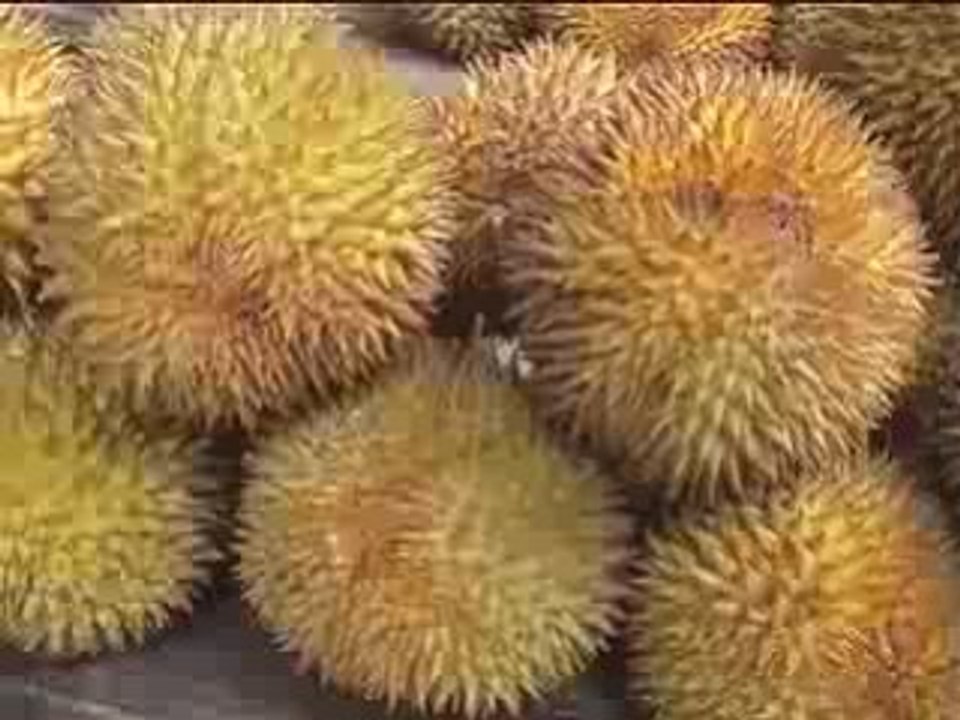 SriLanka - part 4 (Durian)