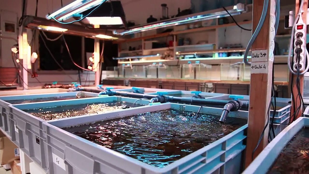 Symbiotechs, 2ème Prix Créatreize