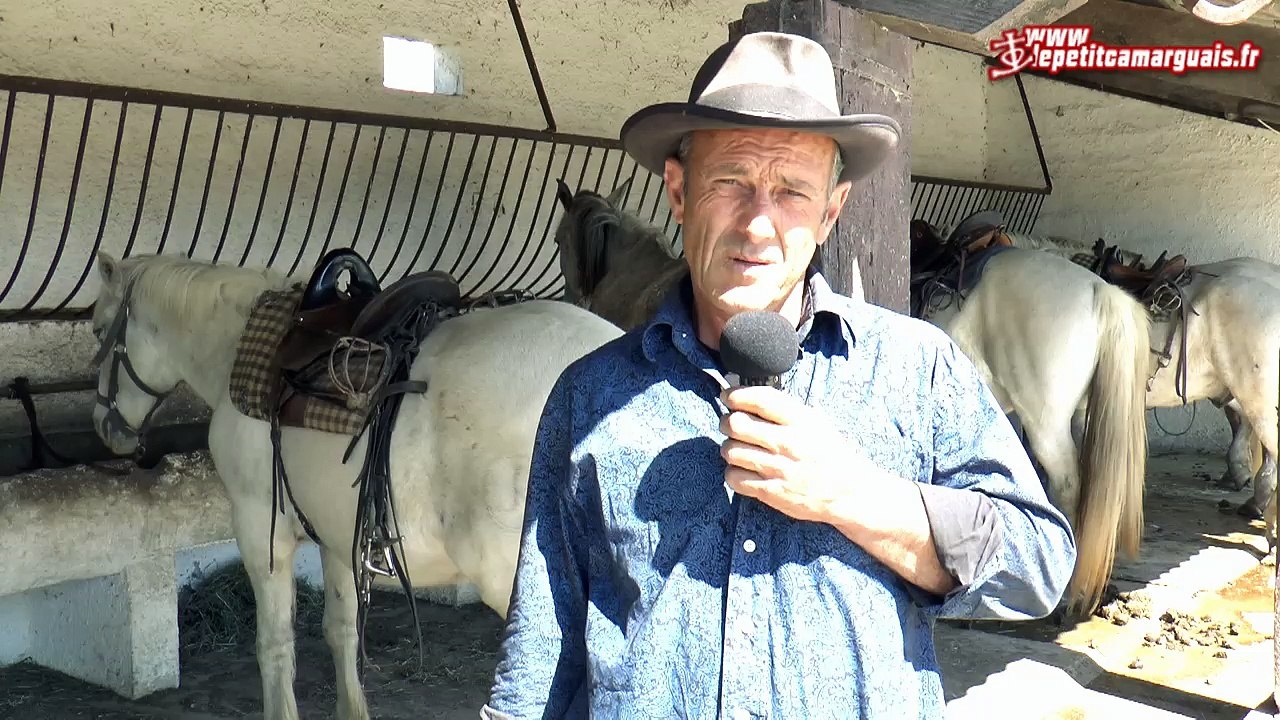Mas du Daladel Promenade à cheval