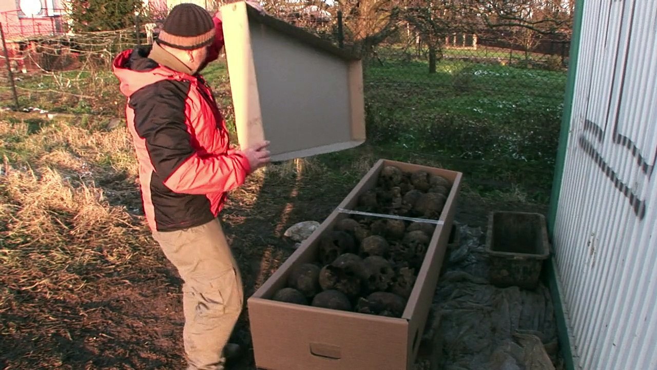 Des milliers de corps, victimes des nazis, découverts en Pologne