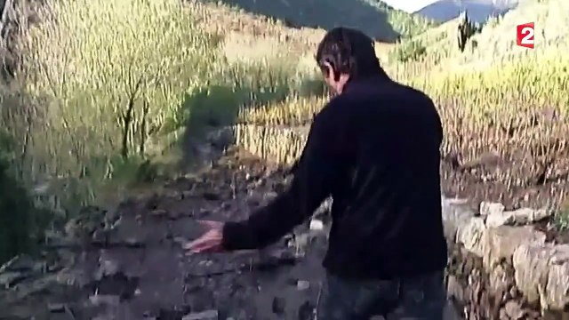 Intempéries : une centaine de viticulteurs frappés dans le sud de la France